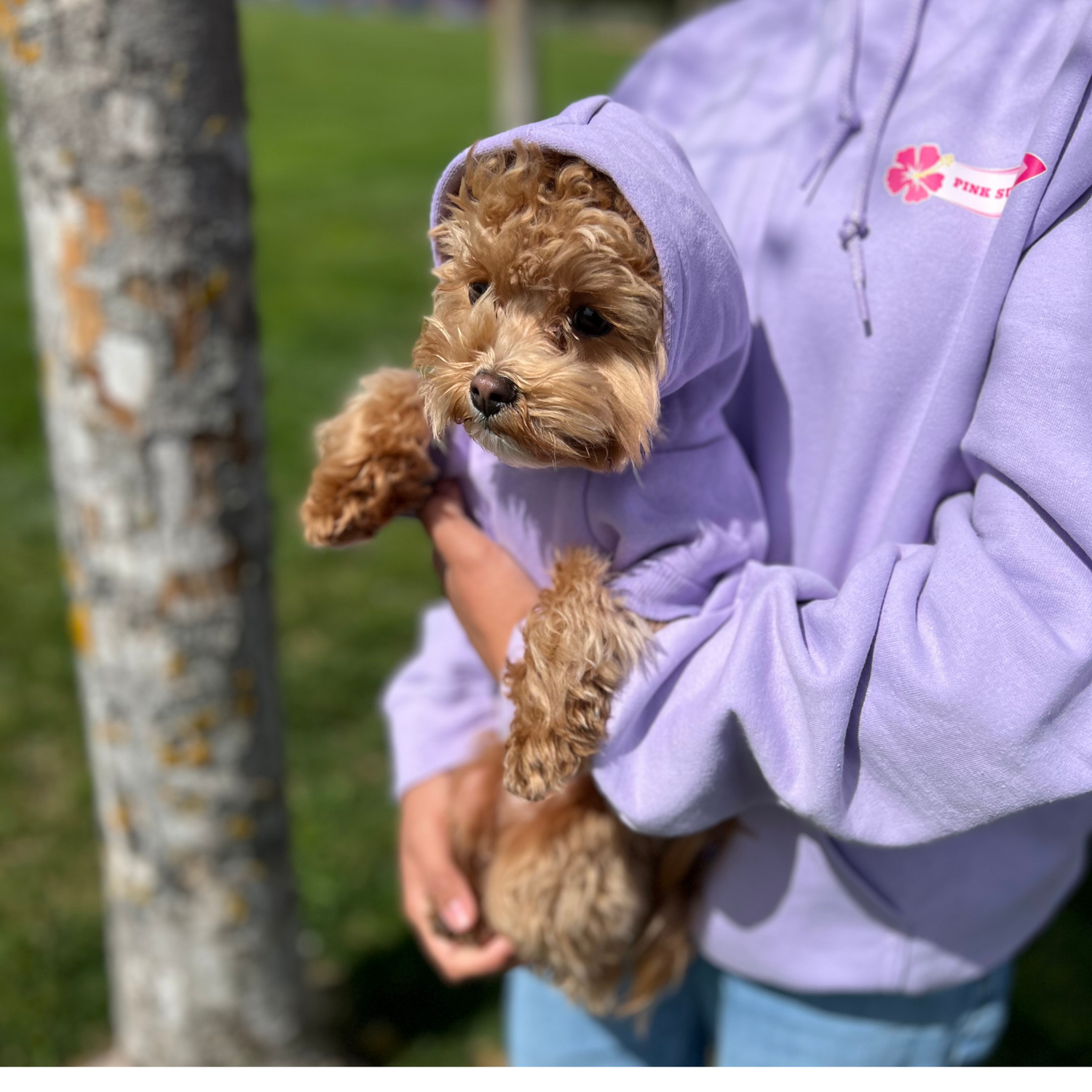 Life's Ruff, Surf’s Up Dog Hoodie – Pink Surf™ Exclusive