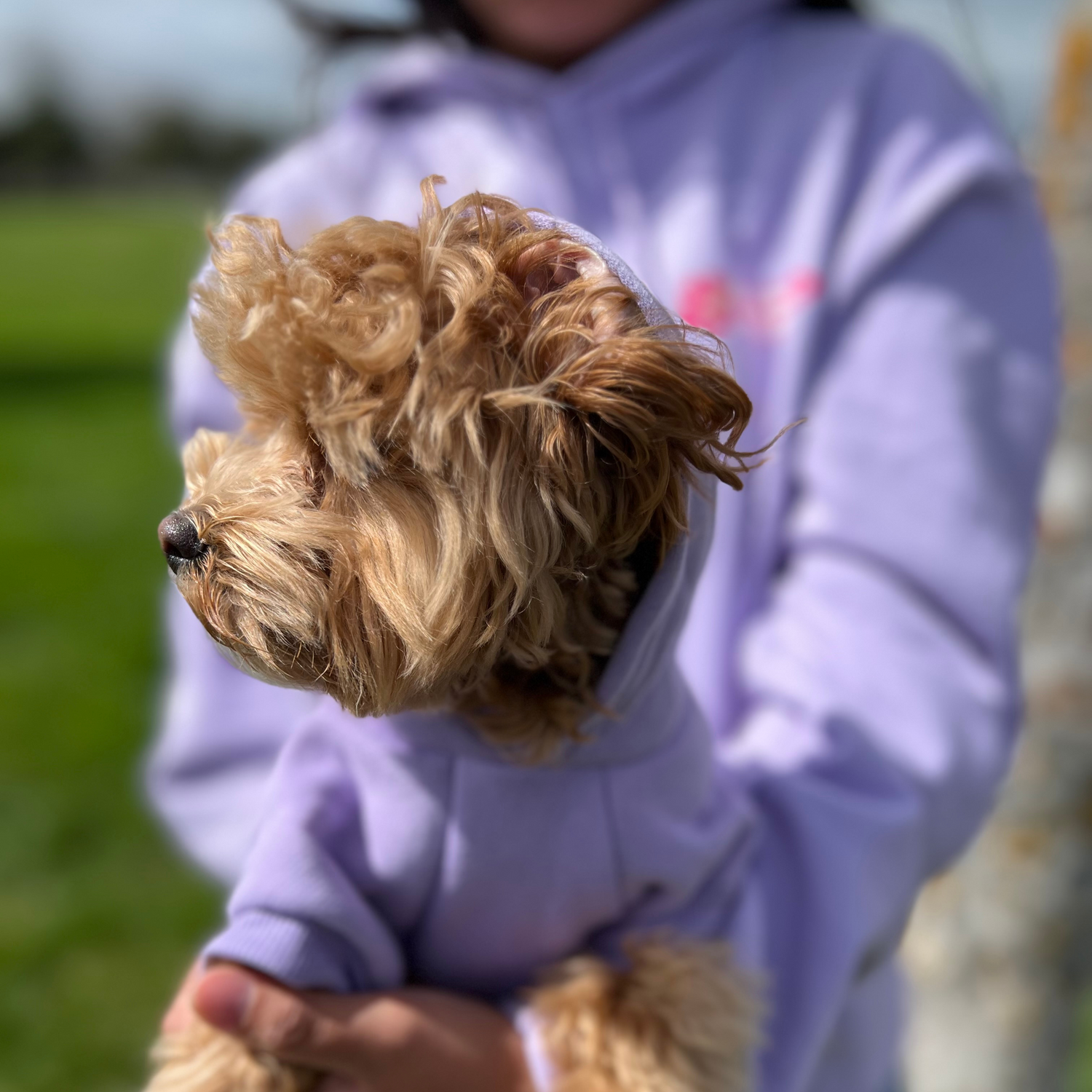 Life's Ruff, Surf’s Up Dog Hoodie – Pink Surf™ Exclusive